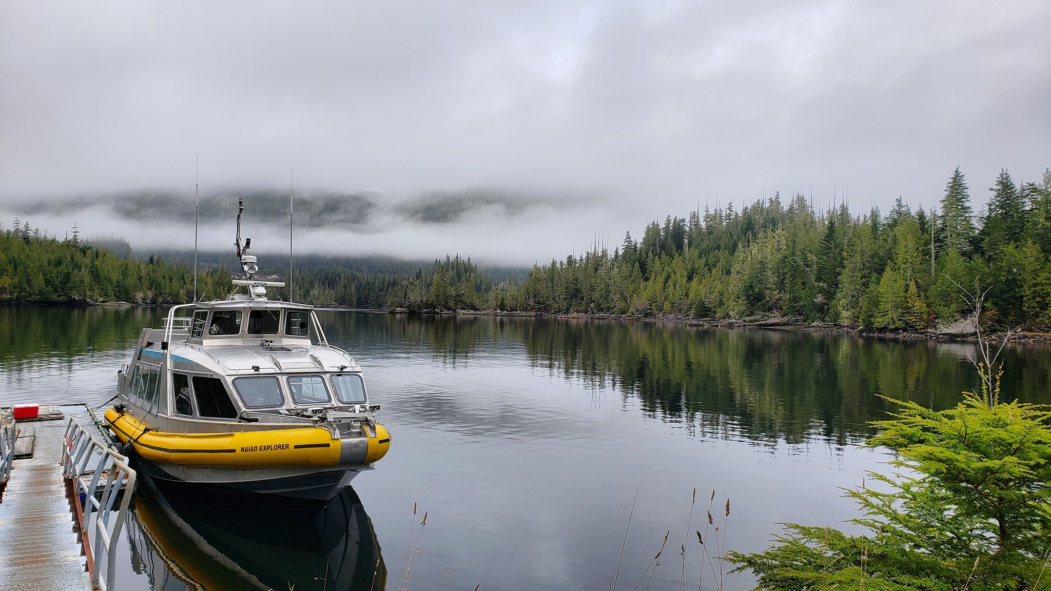 Mackay Whale Watching vessel and dock area